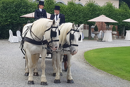 Location de calèche pour vos événements en Wallonie