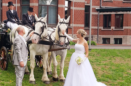 Location de calèche pour mariage en Wallonie