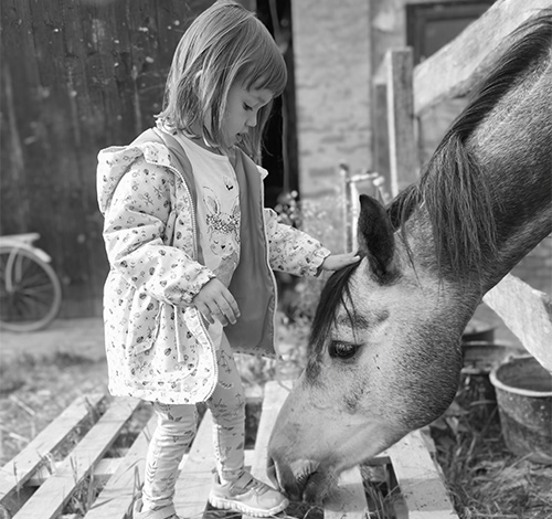 Service de location de calèche pour anniversaire enfant en région Wallonne