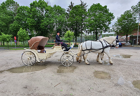 Mariage en calèche Wallonie